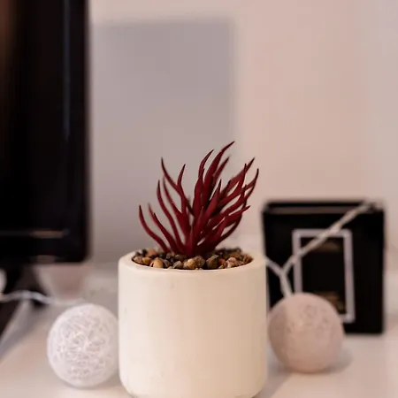 Apartment One'studio -
