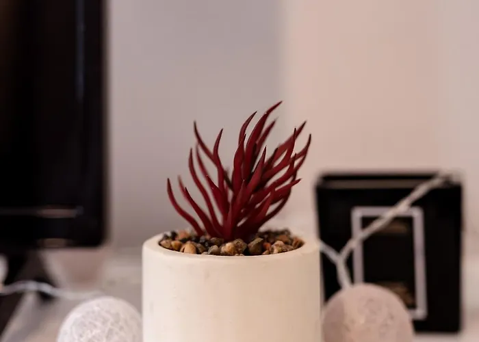 Appartement One'studio -